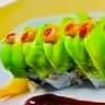 California dragon, rull dekket med avokado